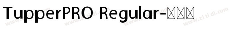 TupperPRO Regular字体转换